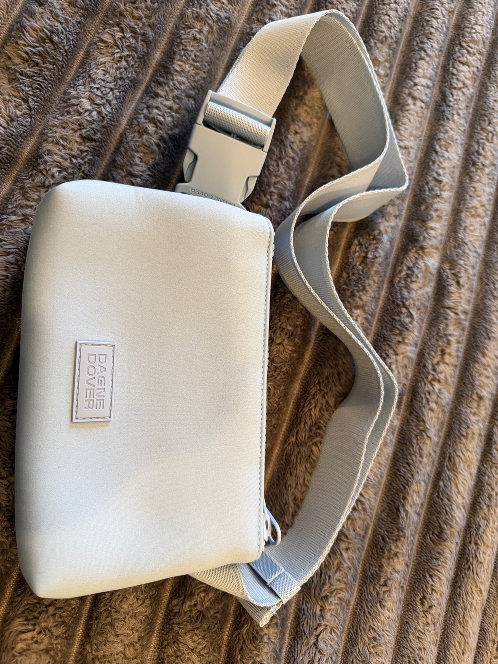 Dagne Dover Light Blue Crossbody Belt Bag with Webbing Strap NWOT